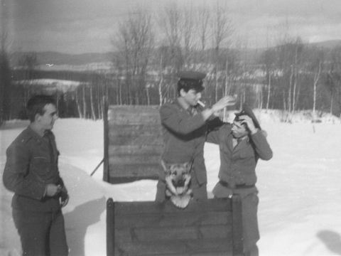 Foto 5